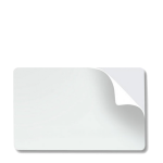 PVC de 0.010 con adhesivo